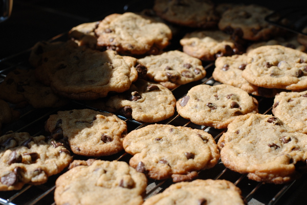 My Grandfather's Chocolate Chip Cookies #1