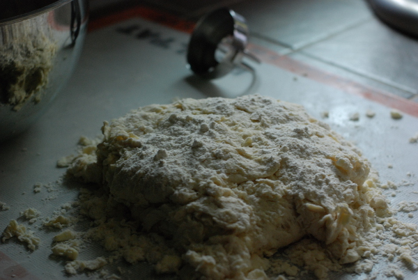 Biscuit dough