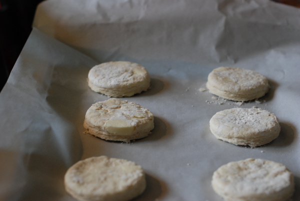 Biscuits ready to bake!