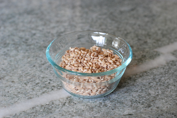 Farro perlato