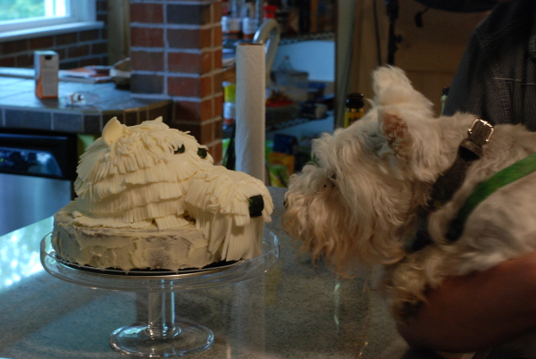 George inspecting the schnauzer cake