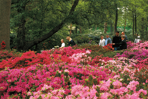 Rhododendron-Park in Bremen, Germany