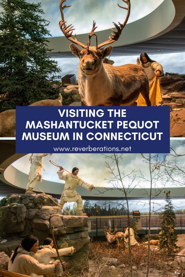 Visiting the Mashantucket Pequot Museum in Connecticut.