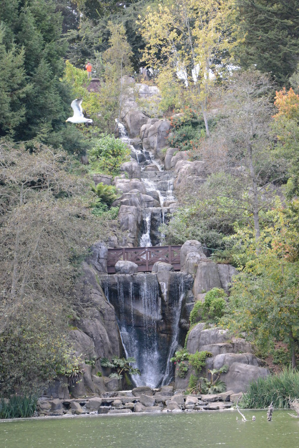 golden gate park waterfall