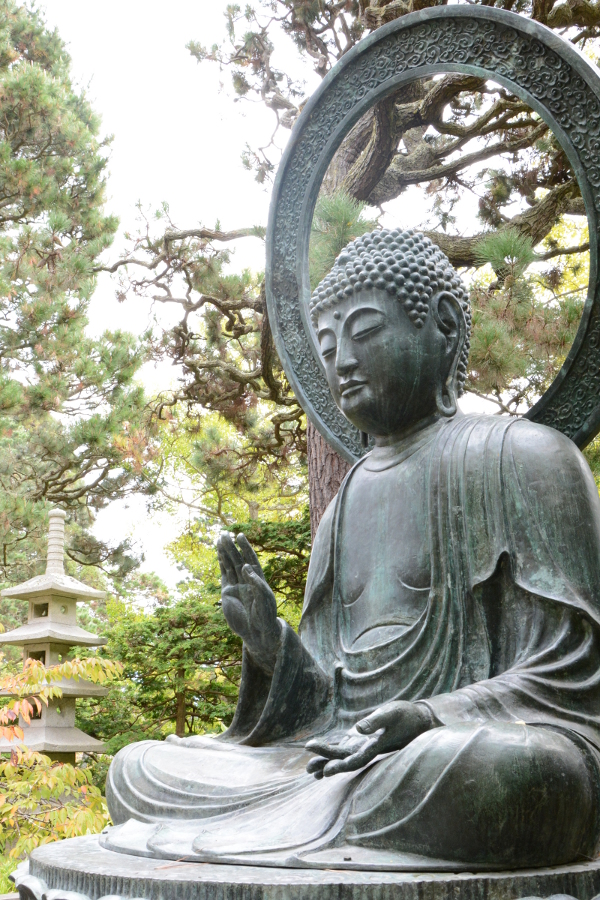 buddha at the japanese tea garden