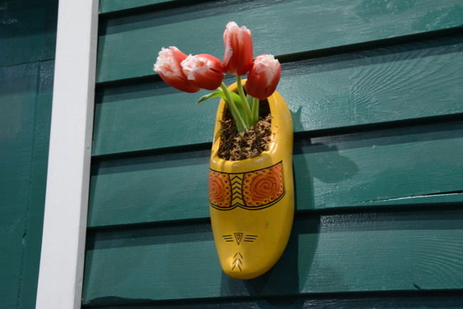 netherlands american business association display at the philadelphia flower show