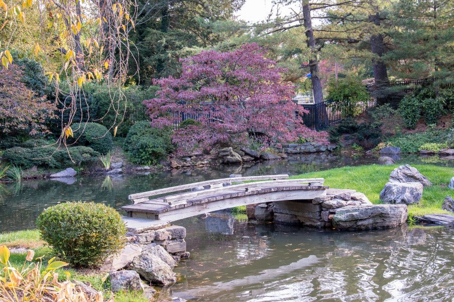 Bridge in the Japanese garden at Shofuso in Philadelphia.