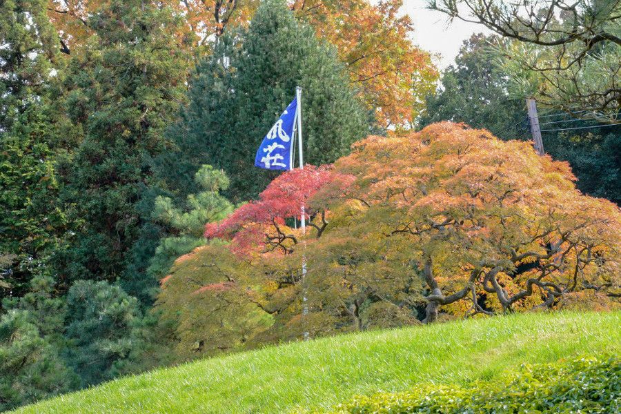 Flag and maple trees at Shofuso Japanese house and garden in Philadelphia.