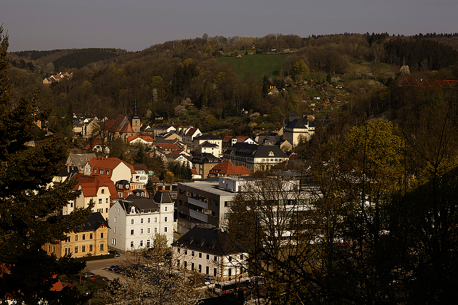 The view from the German watch capital of Glashütte.