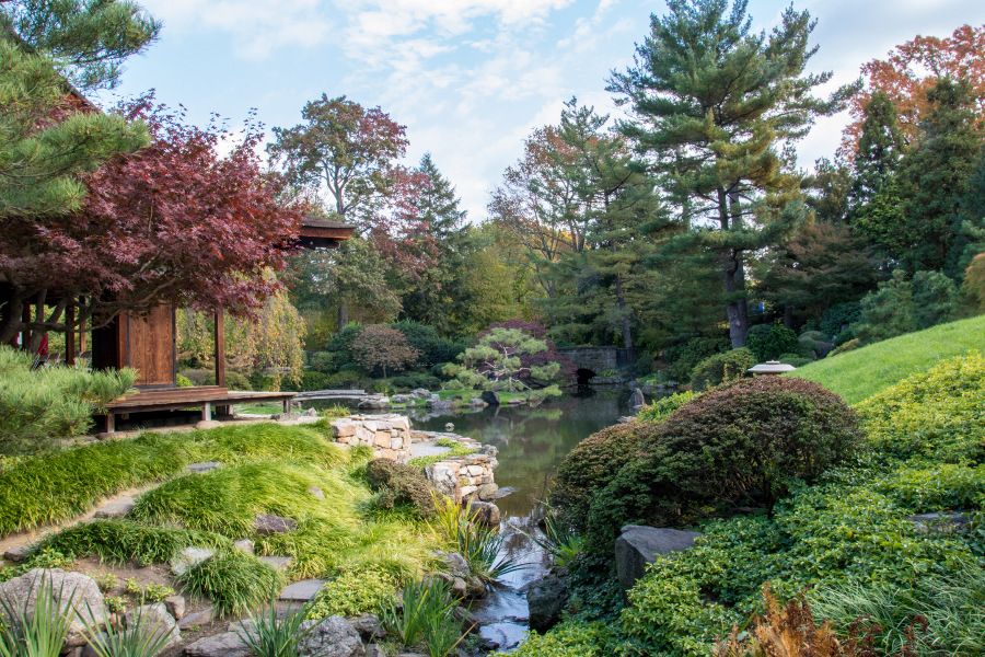 Looking out at the Japanese garden at Shofuso in Philadelphia.