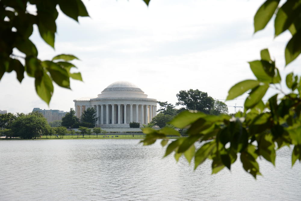 Don't miss the Jefferson Memorial through the cherry trees. More on how to spend your day in Washington, D.C. on Reverberations.