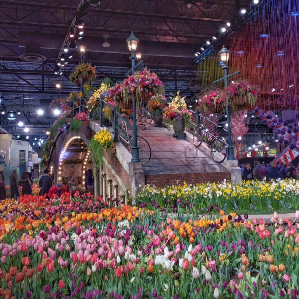 philadelphia flower show 2017 holland flowering the world