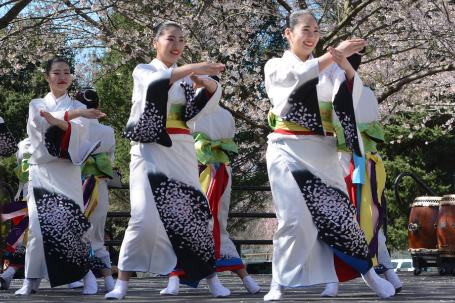 Tamagawa University dancers entertain the crowds at Philadelphia Sakura Sunday.