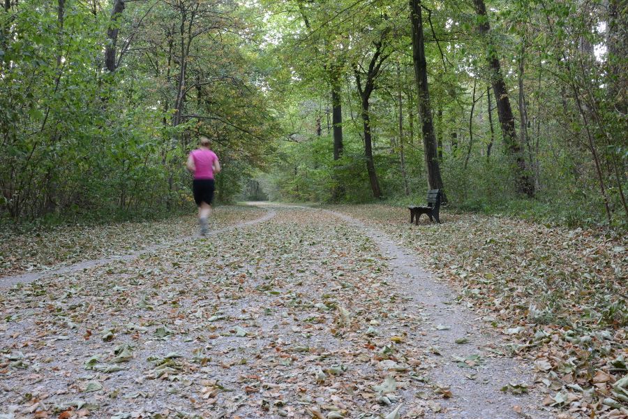 Jogger in Nymphenburg Park in Munich, Germany.