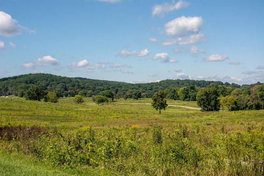 Meadows at Valley Forge National Historical Park in Pennsylvania.