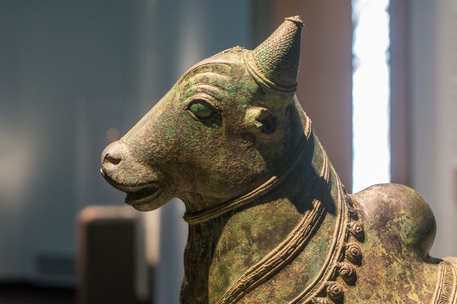 A cow sculpture at the Freer|Sackler Gallery in Washington DC.