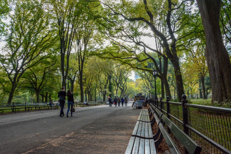 A stroll through Central Park is one of the great free things to do in New York City.