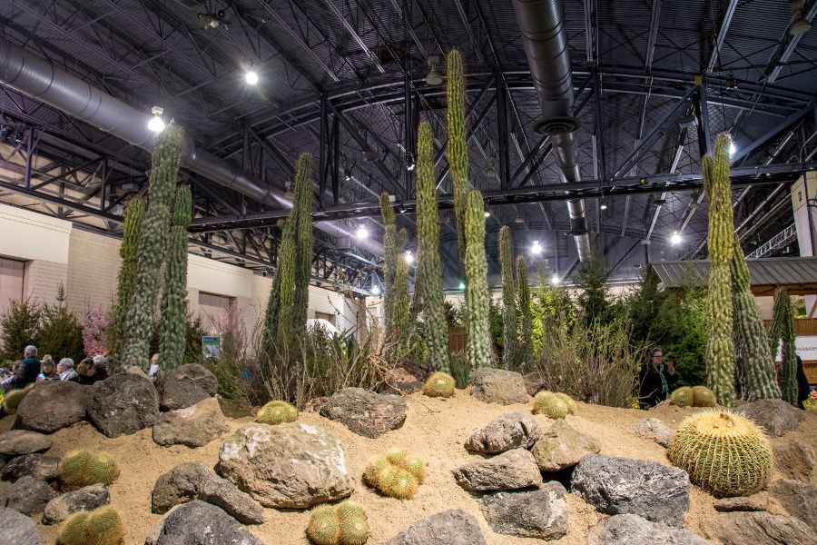 Desert landscape at the Philadelphia Flower Show 2018.