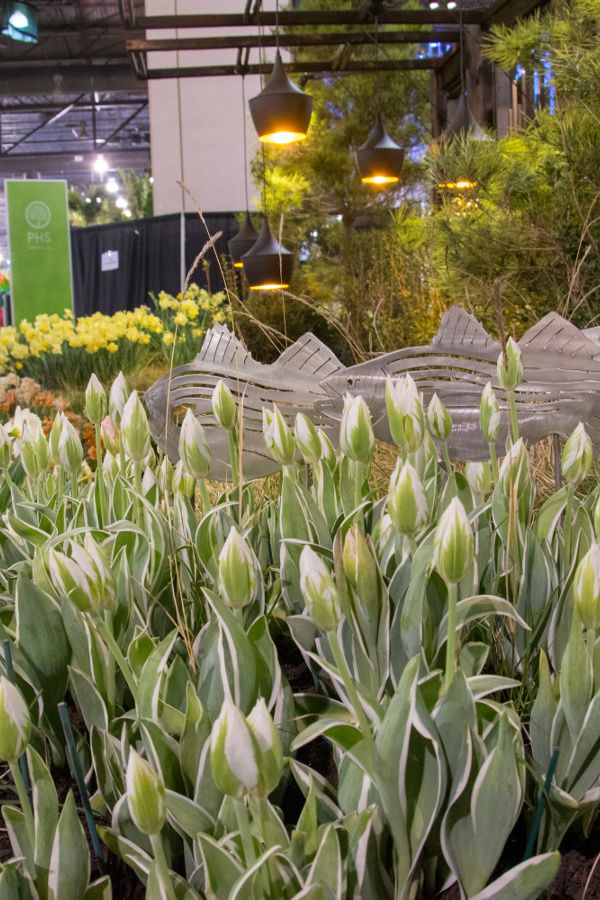 Tulips and decorative fish at Philadelphia Flower Show 2018.