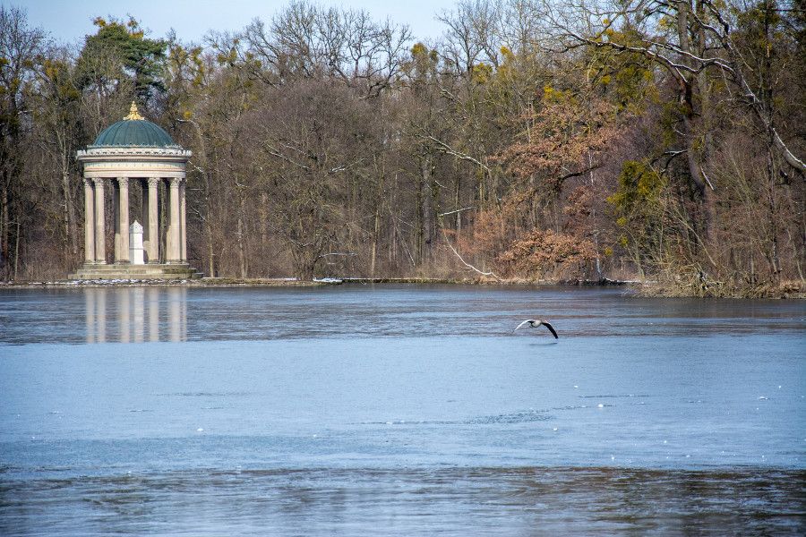 Looking across the frozen lake at Monopteros as a bird flies by in Nymphenburg Park, Munich, Germany.