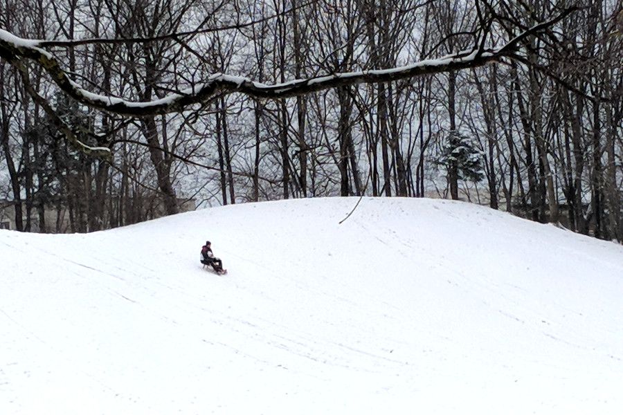 People sledding in Hirschgarten park in Munich, Germany.