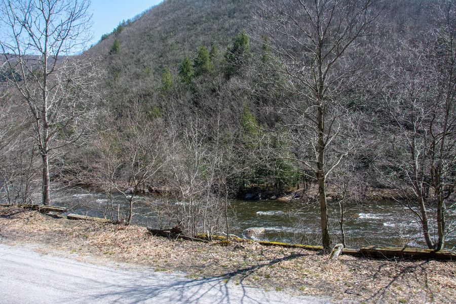 View from the Lehigh Gorge Scenic Railway.