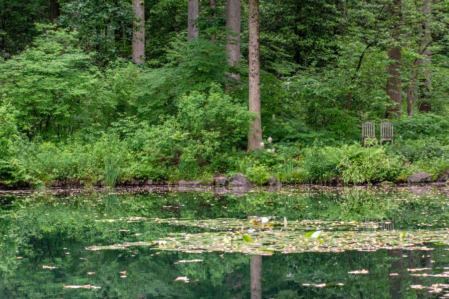 The pond at Mt. Cuba Center in Delaware.