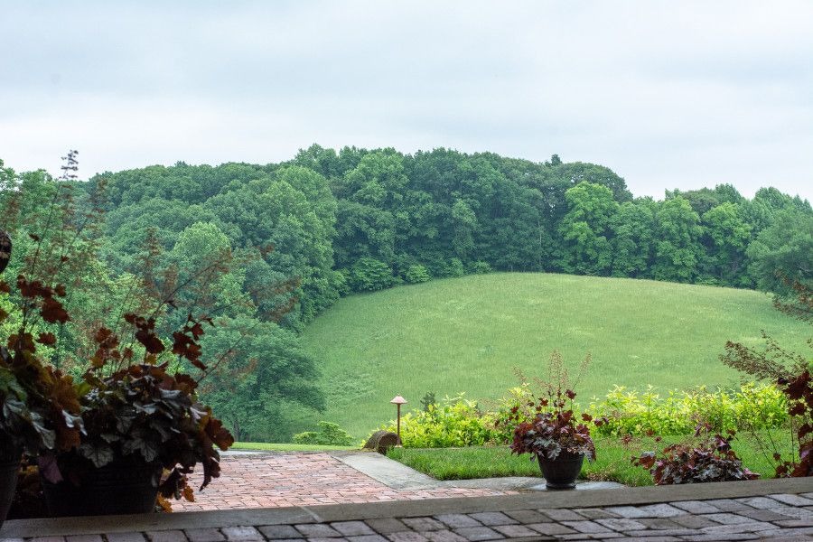 The view from the house at Mt. Cuba Center in Delaware.