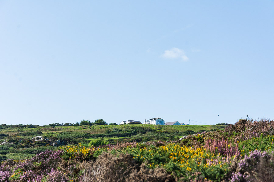 A farm and home sit atop the cliffs in Howth, Ireland.