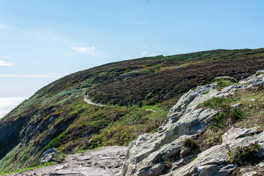 The Howth Cliff Walk cuts a winding path at times.