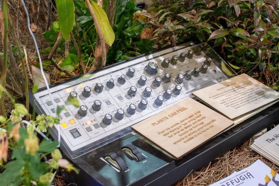 Plants Can Feel makes music using the pulse of plants using instruments like an analog synthesizer.