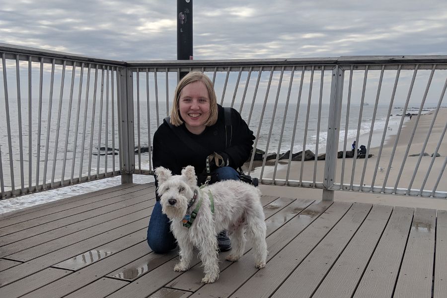 Dogs love a good sniff on the Coney Island Pier.