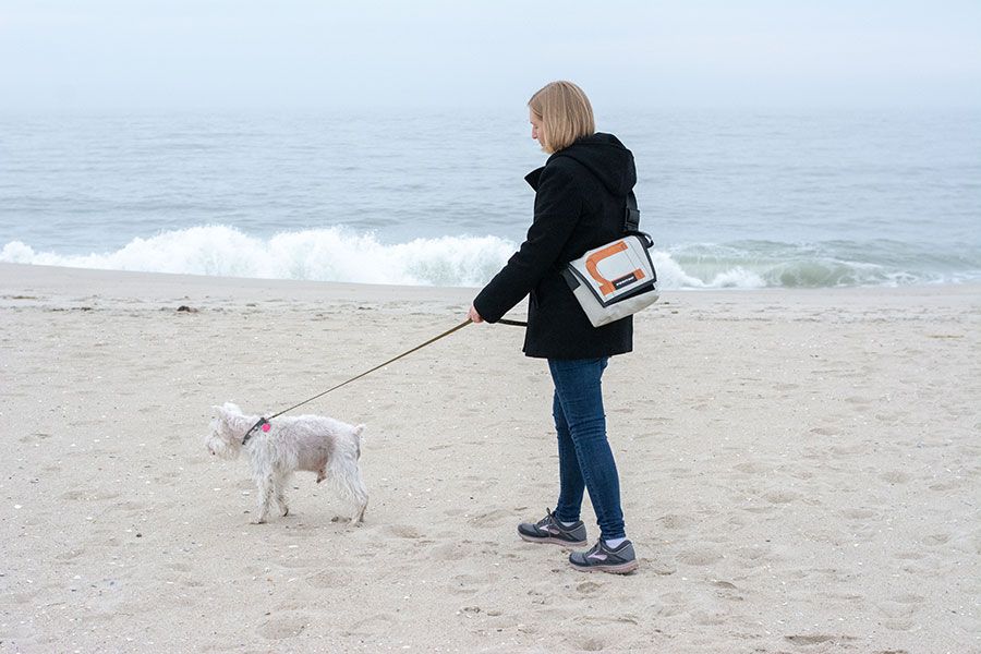 Dog and woman exploring the beaches as part of a Cape May, one of the dog friendly beaches New Jersey has to offer.