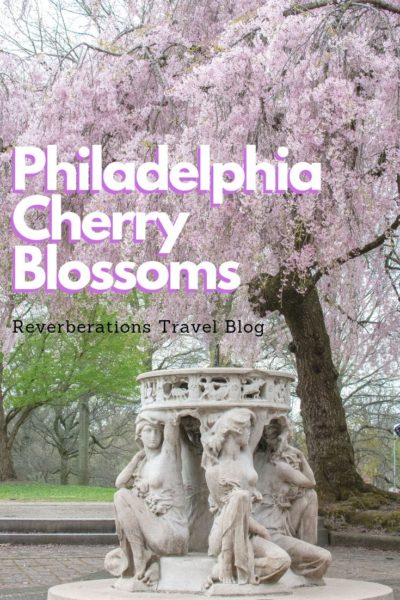 Don't overlook the Philadelphia cherry blossoms in your quest to welcome spring. From where to find the trees to all about the Philadelphia sakura festival. #philadelphia #pennsylvania #usa #cherryblossoms #sakura