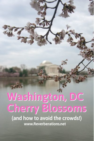 Everyone should see the Washington DC cherry blossoms at least once! Here are a few tips for avoiding the crowds during cherry blossom viewing. #washingtondc #cherryblossoms #usa