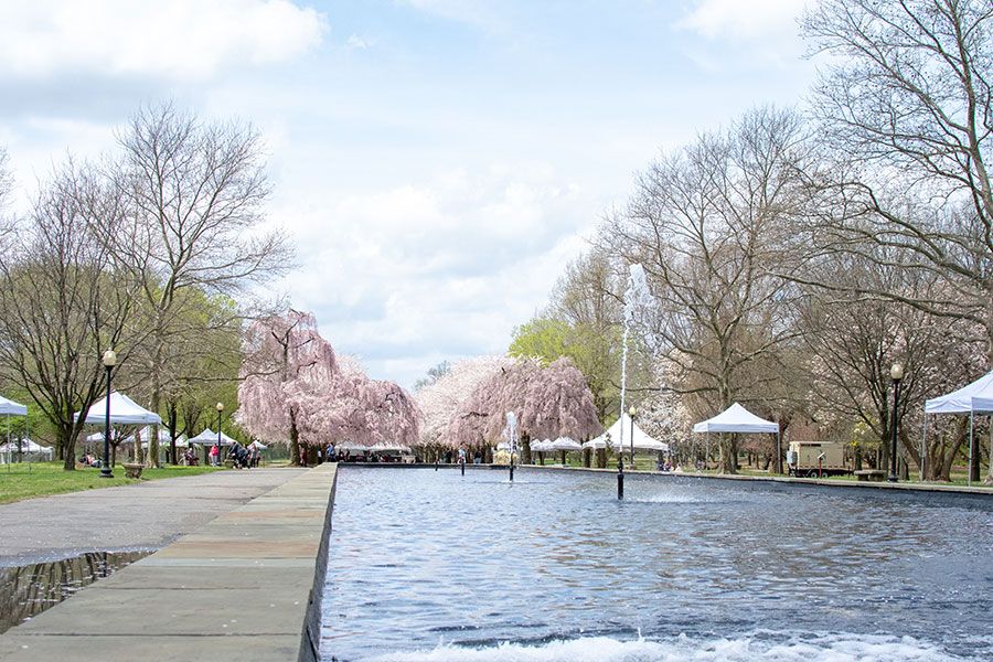 A reflecting pool and fountain in Philly's Fairmount Park.