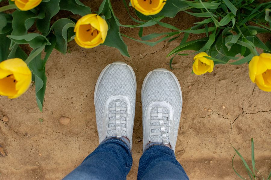 Top view of the Waldlaufer India H Clara silver knit stretch sneakers.