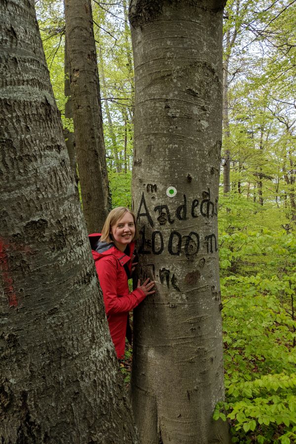 A tree marks 1000m to Andechs.