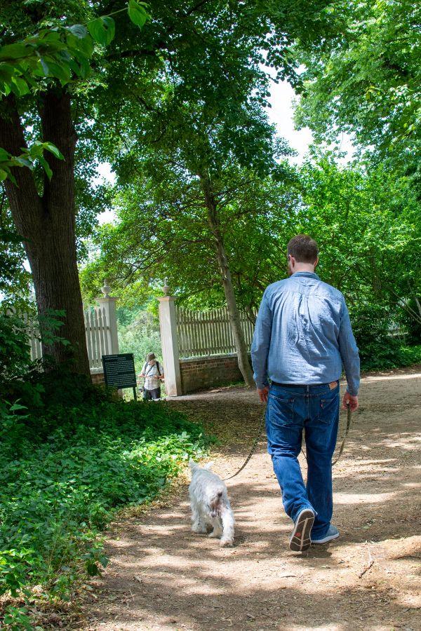 Dogs are welcome at Mount Vernon.