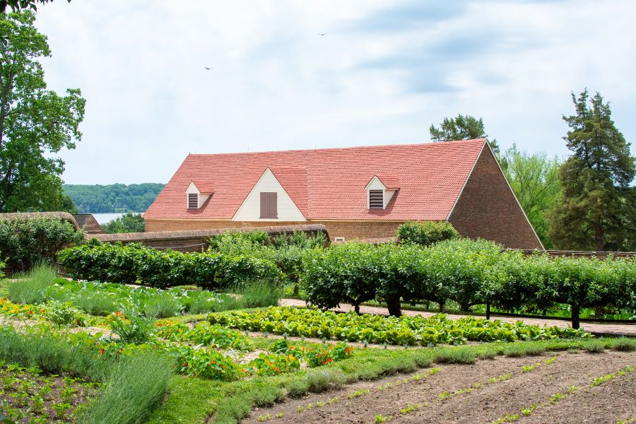 The lower garden at Mount Vernon.