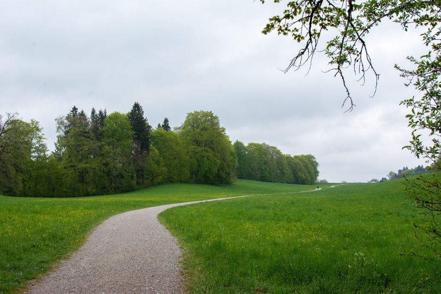 A rolling meadow near Andechs in Germany.