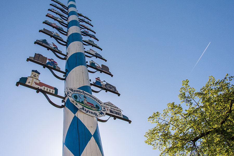 Painted white and blue for Bavaria and with signs depicting the town's businesses and trades, the Maypole (or Maibaum) stands proudly at the center of the German town of Aying.