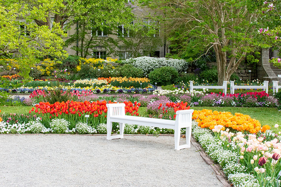 A bench at the Botanical Garden gives a taste of Munich in spring.