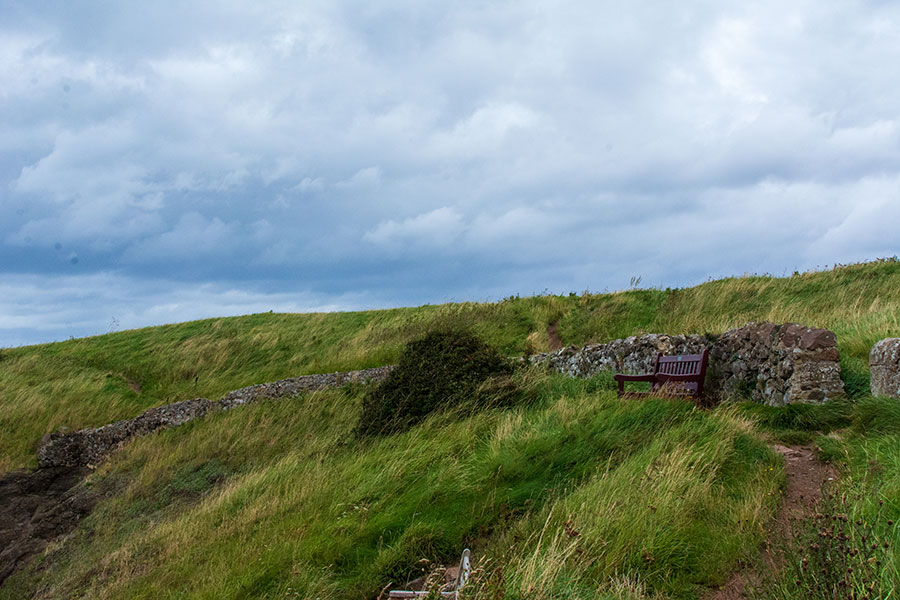 A narrow dirt path through the grass up a cliff in East Lothian.