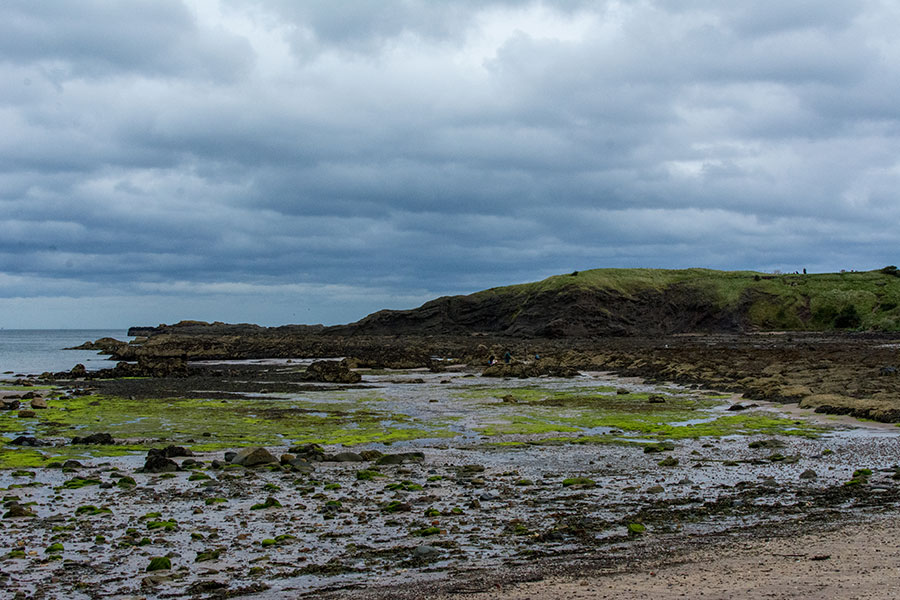 Green cliffs and a rocky waterfront beach.