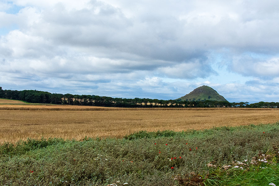 A view of North Berwick Law across a farm field.