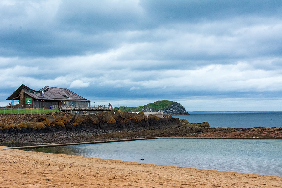 The Scottish Seabird Centre sits overlooking the water in North Berwick, Scotland.