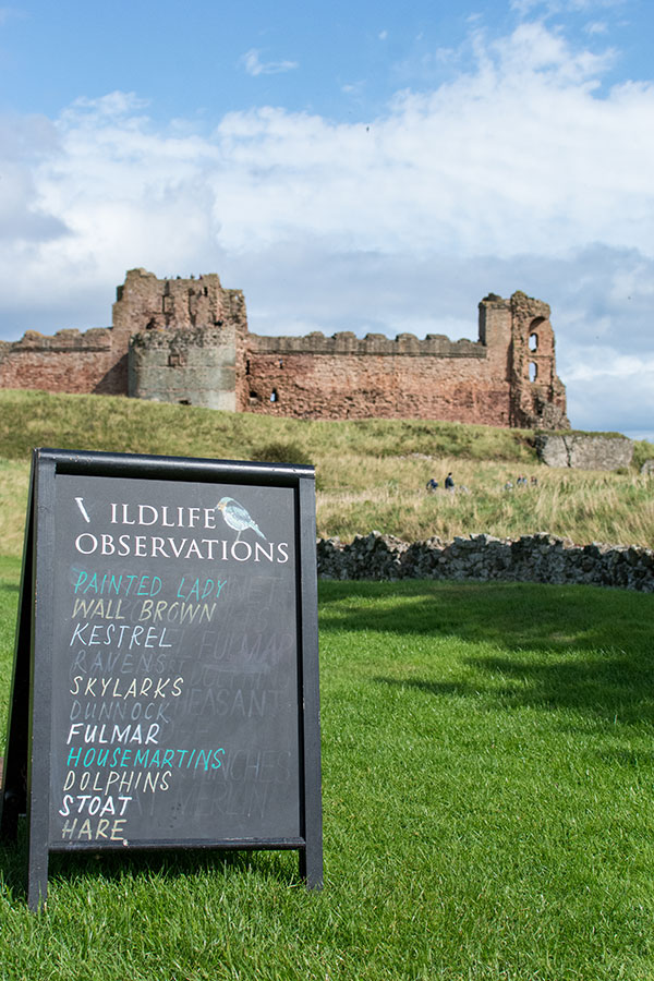 A chalkboard lists wildlife observations outside of Tantallon Castle.