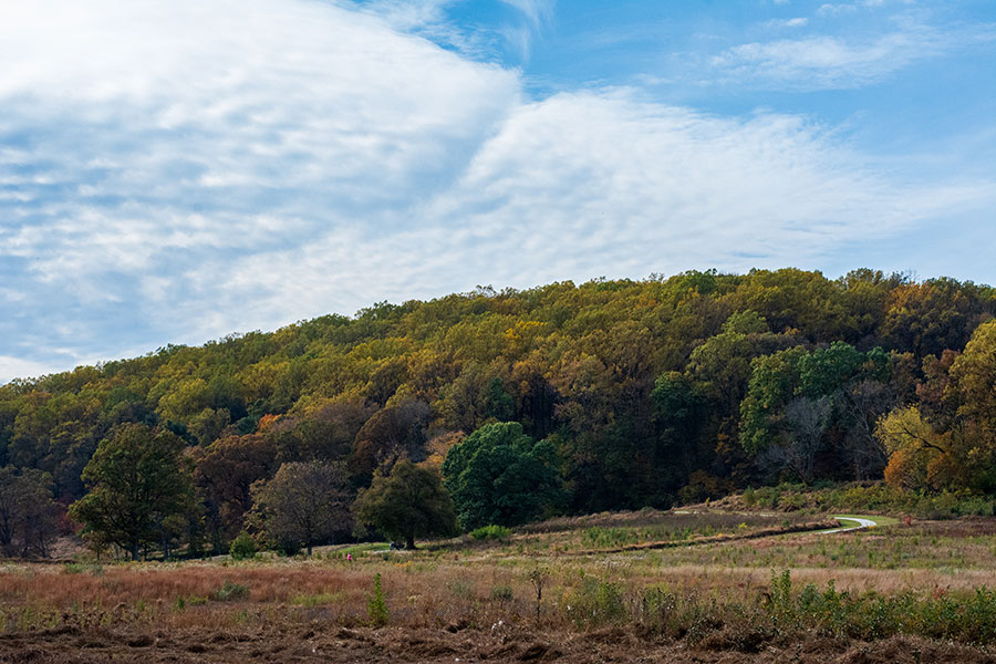 Seeing the colorful autumn foliage is a great fall thing to do in Philadelphia.