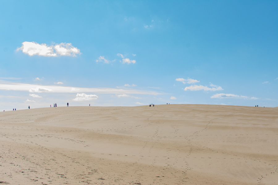 Visitors walking on the sand dunes at Jockey's RIdge State Park.